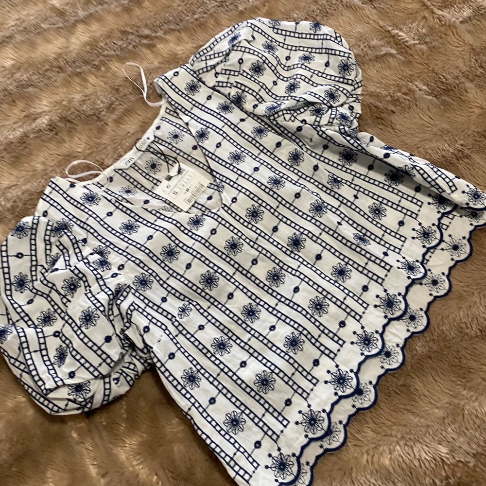 Zara embroidered detail top